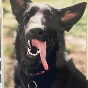 Meet your Posher, Laurie